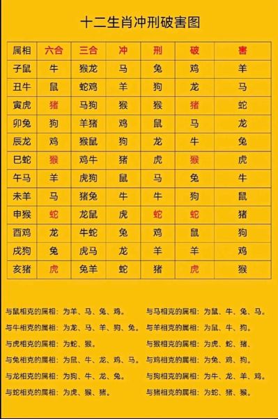 属相相冲和相合的生肖（龙相冲的三大属相是什么）