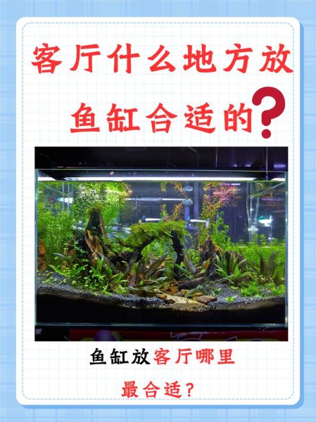 生肖属相缸（生肖属相鱼缸摆放最佳方位图解）