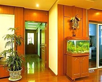 生肖属相缸（生肖属相鱼缸摆放最佳方位图解）