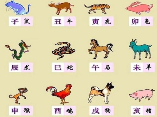 生肖大属相都有啥属相