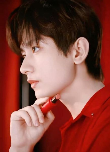 成毅的生肖属相（成毅生肖属相是什么）