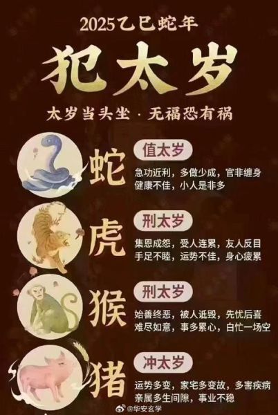 生肖属相太岁表2019（2019犯太岁生肖对照表速查）