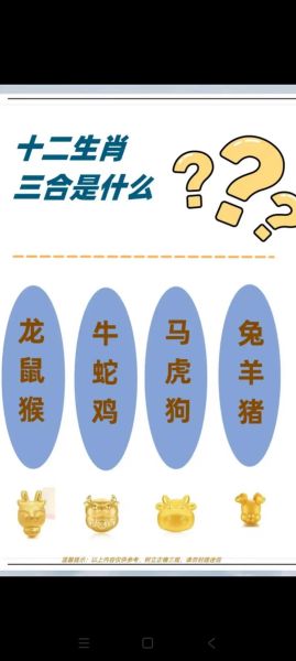 生肖属相配的视频（生肖属相合不合视频）