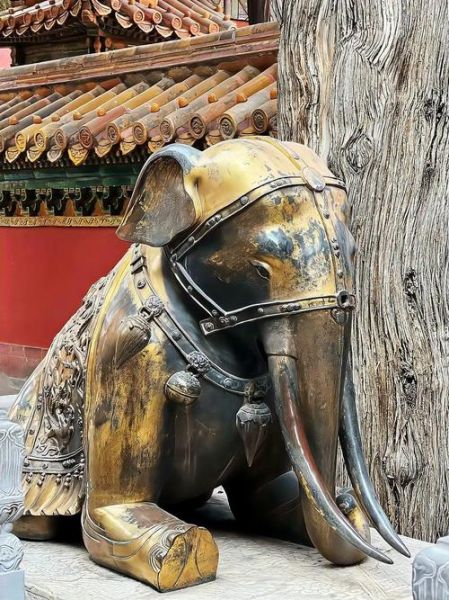 住皇宫的生肖都有啥属相（住皇宫的生肖有哪些属相）