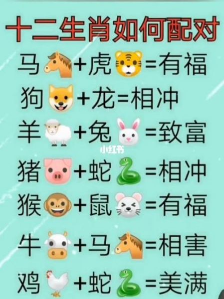 牛属相配什么生肖(牛属相配什么生肖最旺?小白入门避坑指南)