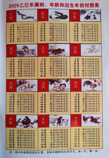 生肖属相年龄头像（生肖头像怎么选2025年龄段最流行？）