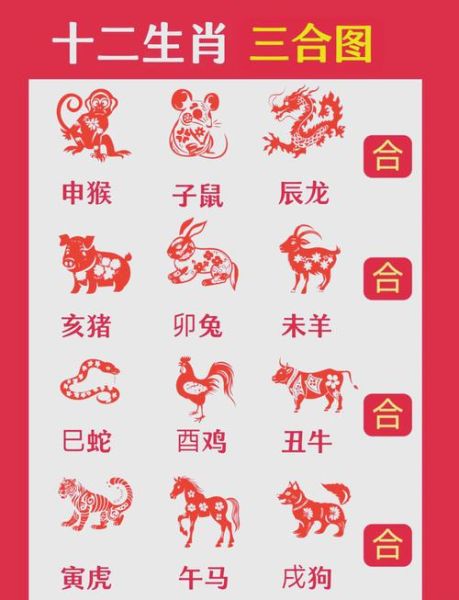 属相相合生肖是什么（属相相合生肖是什么？一看就懂🤗）