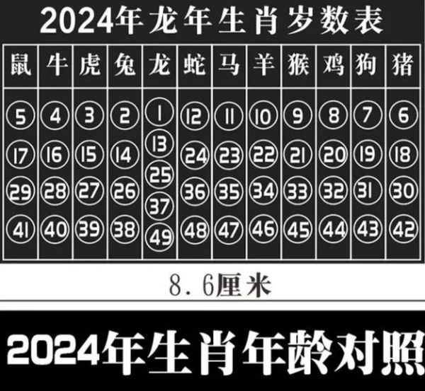 生肖属相统计图片（生肖属相统计图片2024高清大全）