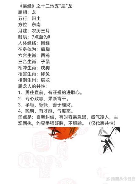 生肖属相属于易经（生肖属相属于易经吗？小白入门必读）