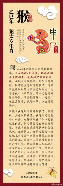 冲太岁的生肖属相（冲太岁是什么意思啊？新手一分钟看懂）