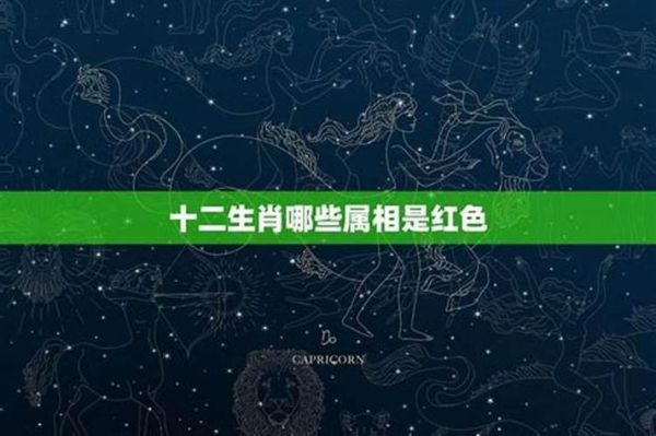 眼睛的属相是什么生肖（眼睛的属相是什么生肖？最通俗答案）