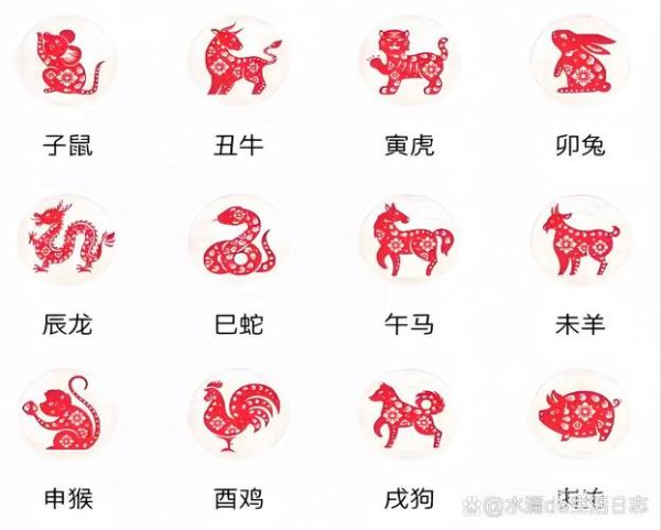 你属相是什么生肖（你属相是什么生肖怎么查）