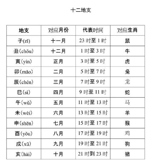十二星辰对应生肖属相（十二生肖对应的天干地支速查表）