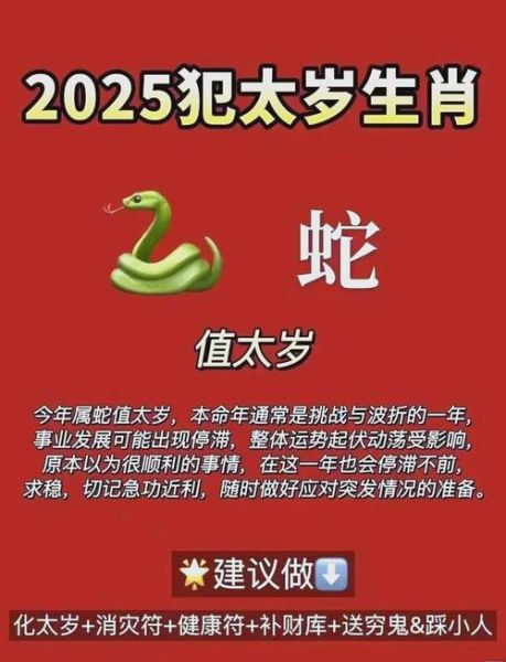 生肖属相判定（2025年以后出生属什么生肖最准确查询）