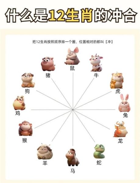 十二生肖属相犯相（十二生肖犯相是什么意思💫）