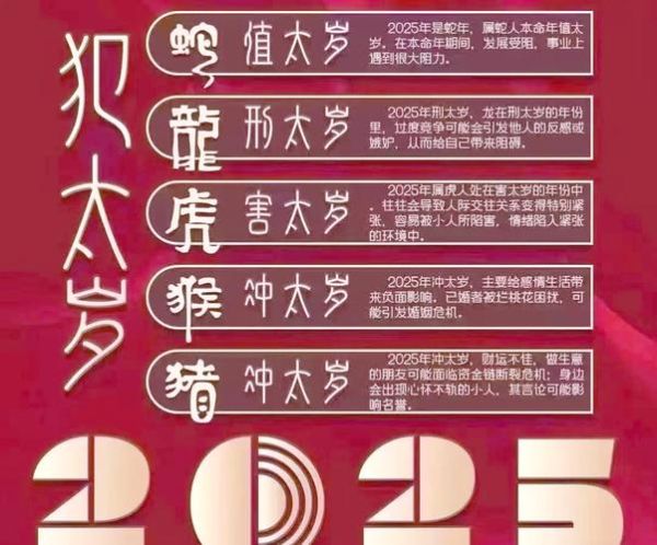 生肖属相运势详解(2025年生肖属相运势详解完整指南)