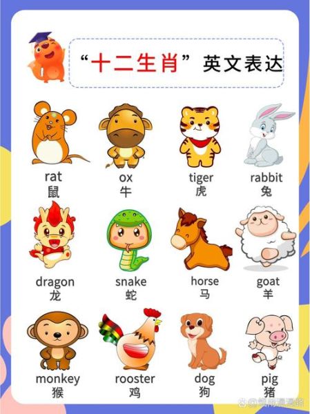 生肖属相英语短句（生肖属相英语短句🐾实用100句）