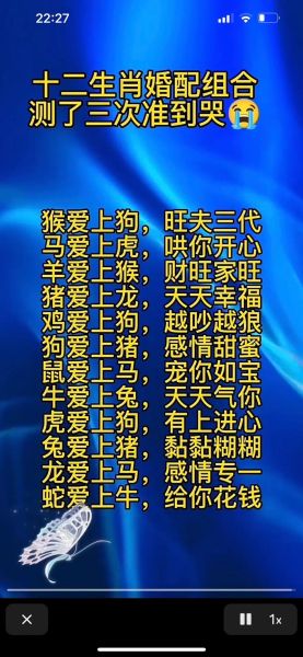 爱情生肖哪些属相(龙兔猪马最佳配对表)