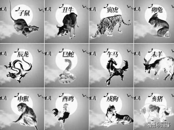 十二生肖中最大属相（十二生肖中最大属相到底是哪个？）