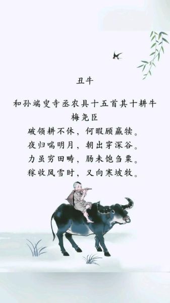 生肖属相古诗（鼠年古诗怎么选？小白速查指南）