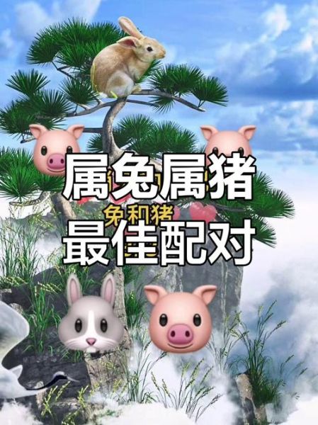 兔子配对生肖属相（属兔和什么生肖最配婚姻）