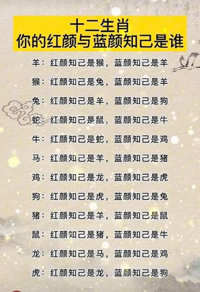 生肖感悟属相的句子（十二生肖一句话解读人生感悟）