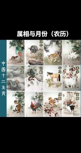 月份属相生肖配对（月份属相怎么查？小白秒懂版💡）