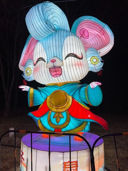 生肖属相灯（生肖属相灯有哪些讲究）