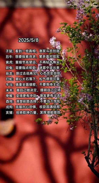 生肖属相的玄学（生肖属相的玄学是什么？）