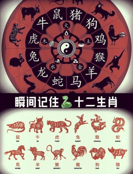 生肖哪个是大属相(十二生肖中哪个才是大属相)
