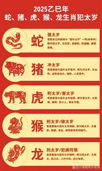 九星生肖属相表（九星生肖对照表怎么看🧭）