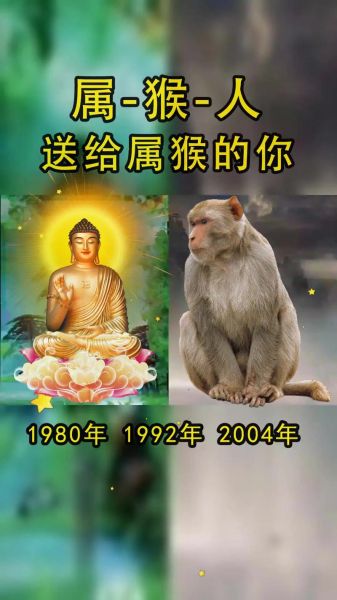 猴子生肖守护什么属相