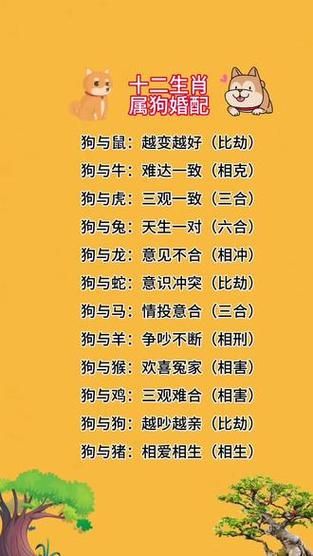 狗狗属相配什么生肖最好（狗狗和什么属相最合得来？）