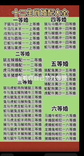 生肖鼠和龙属相合不合