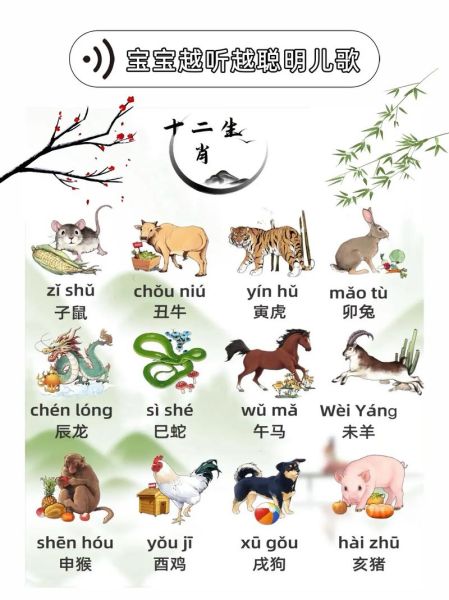 12生肖里该有的属相是（12生肖正确属相顺序排法）