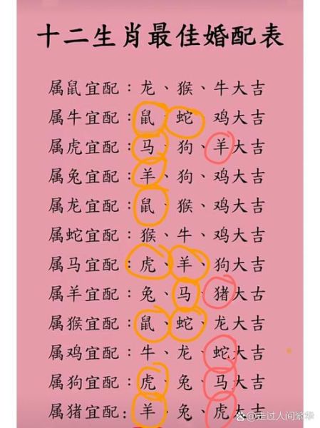 生肖马和什么属相最配（生肖马和什么属相最配，配对率最高的是虎）