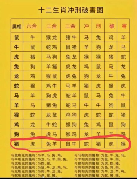 生肖马和什么属相最配（生肖马和什么属相最配，配对率最高的是虎）