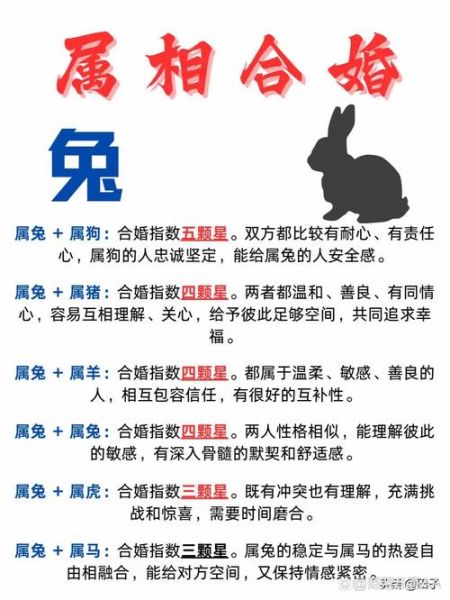生肖兔配对最佳属相（生肖兔最佳配对属相是这些）