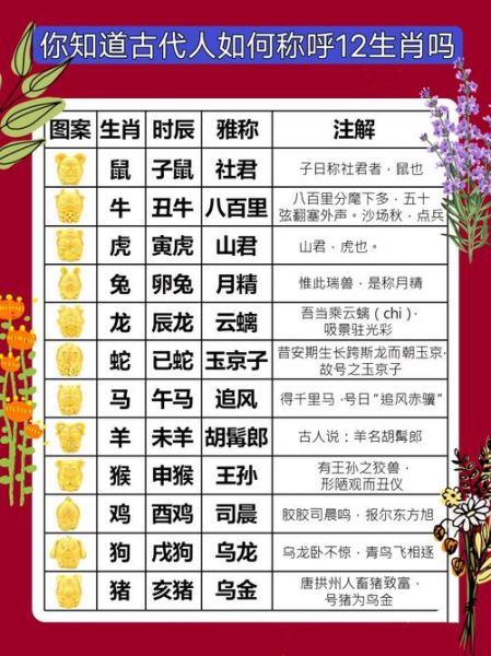 上下开幕生肖属相（上下开幕生肖对照表怎么看）