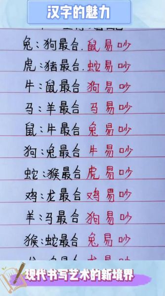 属相配生肖搞笑视频（12生肖配对的搞笑视频合集）