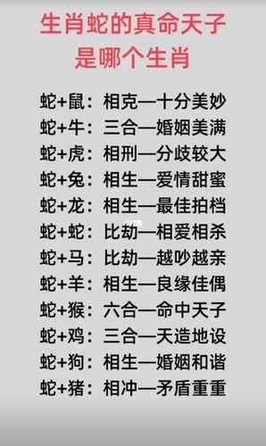 生肖蛇的配对属相是什么（生肖蛇和什么属相最配）