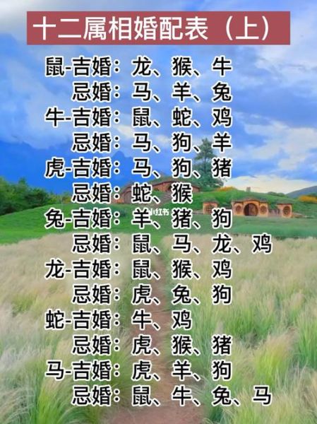 08岁生肖属相（08年出生属什么生肖）