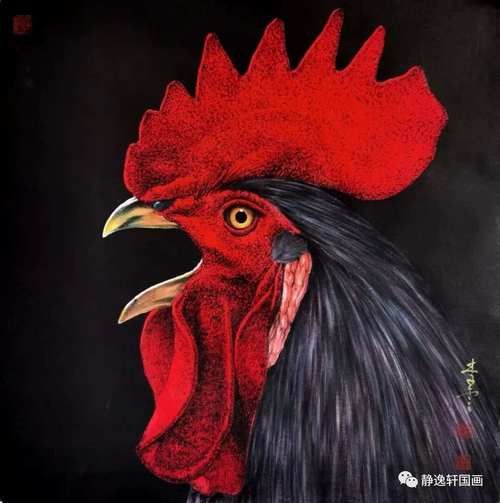 生肖鸡属相禁忌（生肖鸡属相禁忌颜色全解析）