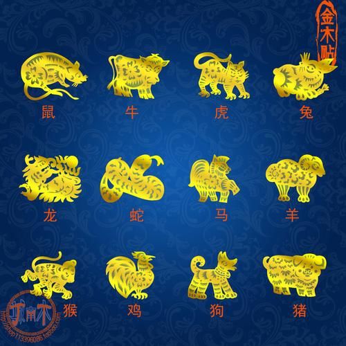 烟属什么动物生肖属相（烟属什么生肖？新手指南一看就懂）