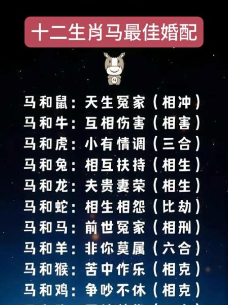 生肖马属相介绍视频（生肖马属相介绍视频新手必看）