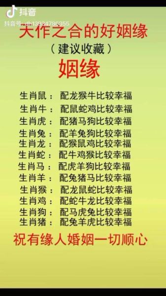 生肖派对属性有哪些属相（生肖派对属相一览）