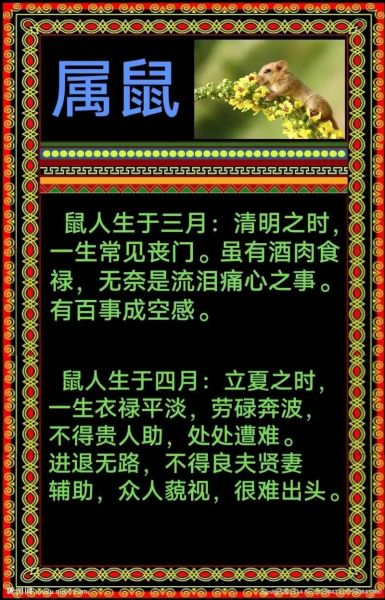 生肖鼠的孩子属相（生肖鼠的孩子属相与爸妈犯冲吗？）