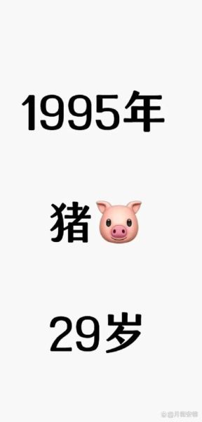 1995年属相生肖（1995年属相到底是啥）