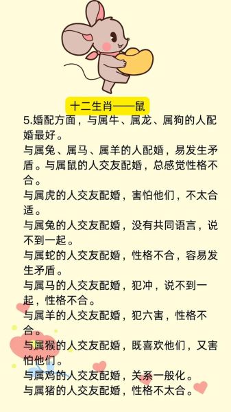 生肖鼠的属相详解图（生肖鼠属相性格全解图小白版）