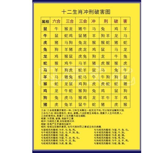 生肖龙相冲属相（生肖龙相冲属相查询指南）